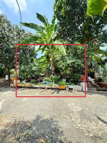 Bán Đất 160.8m2 có sẵn 160.8 m2 thổ cư giá 19.22 tỷ tại Đường Nguyễn Duy Trinh - Chọn - Phường Bình Trưng TP. Hồ Chí Minh