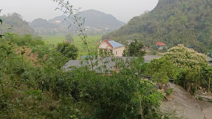 Bán Nhà riêng 8000m2 có sẵn 726.9 m2 thổ cư giá 2.8 tỷ tại - Chọn - Phường Tân Hòa Thành phố Hòa Bình Hòa Bình