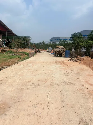 Bán Đất 131m2 có sẵn 131 m2 thổ cư giá 1.35 tỷ tại - Chọn - Xã Hà Lộc Thị xã Phú Thọ Phú Thọ