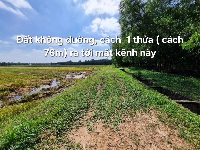 (S590) Đất xã Trung Lập Thượng, dt 1.357m2, giá 470 triệu
