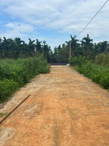Bán Đất 144m2 có sẵn 144 m2 thổ cư giá 850 triệu tại Xã Hòa Xuân Thành phố Buôn Ma Thuột Đắk Lắk