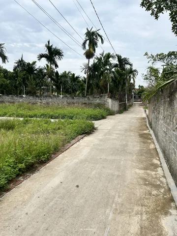 Bán Đất 66m2 có sẵn 66 m2 thổ cư giá 580 triệu tại - Chọn - Xã Kỳ Sơn Huyện Thuỷ Nguyên Hải Phòng
