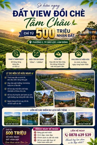 🌿 ĐẤT VIEW ĐỒI CHÈ TÂM CHÂU – CHỈ TỪ 500 TRIỆU NHẬN ĐẤT 🌿
