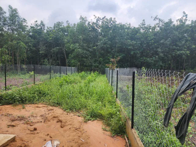 Cho thuê Nhà riêng 120m2 kèm 1500m2 đất giá 6 triệu, Xã Thường Tân Huyện Bắc Tân Uyên Bình Dương