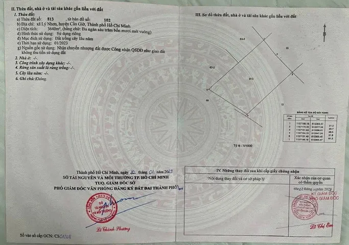Bán Đất 3000m2 giá 51 tỷ tại Xã Long Hòa Huyện Cần Giờ TP. Hồ Chí Minh