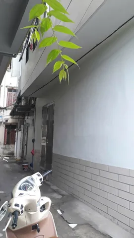 Cho thuê Nhà riêng 50m2 giá 14 triệu tại Đường Q. Hà Đông Phường Vạn Phúc Quận Hà Đông Hà Nội