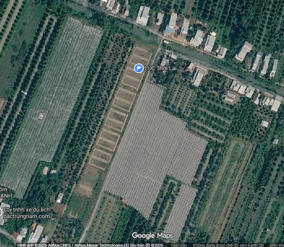 Bán Đất 1100m2 giá 800 triệu tại Xã Trường Thắng Huyện Thới Lai Cần Thơ