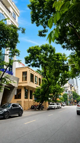 Cho thuê nhà Mặt phố PHẠM TUẤN TÀI, Cầu Giấy. 33 triệu/ tháng. Phù hợp: Văn phòng, KD Onl, Spa, Trung tâm giáo dục, Thẩm mỹ viện, Trưng bày, KD Sạch.