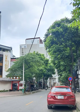 Bán nhà Mặt phố 8 tầng THANG MÁY tại PHAN KẾ BÍNH. Nhà đẹp, Kinh doanh tấp nập, Vỉa hè 10m.