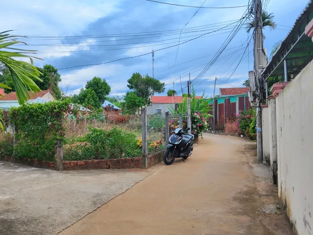 Bán Đất 478.6m2 có sẵn 300 m2 thổ cư giá 1.29 tỷ tại - Chọn - - Chọn - Xã Mộ Đức Quảng Ngãi
