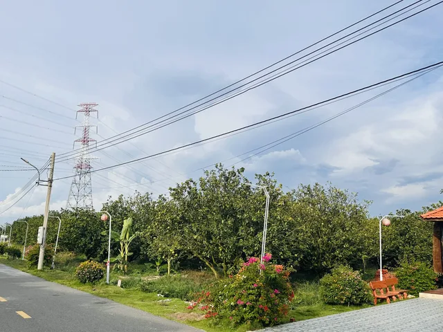 Đất nhà em, vườn đẹp chil luôn anh chị ơi, 1500m2 có thổ cư, bao sổ, giá 2ty2 công khai luôn
Quan tâm thì liên hệ số em Mai nghen