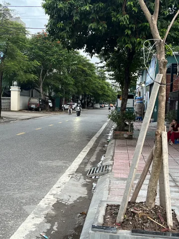 🔥 MẶT PHỐ HOA ĐỘNG – VỈA HÈ RỘNG – KINH DOANH DÒNG TIỀN ỔN ĐỊNH