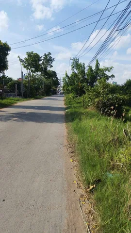 4900m2 đất lúa MT đường 1B, Thanh Phú, Bến Lức, đối diện Eco Retreat, giá 15 tỷ TLCC