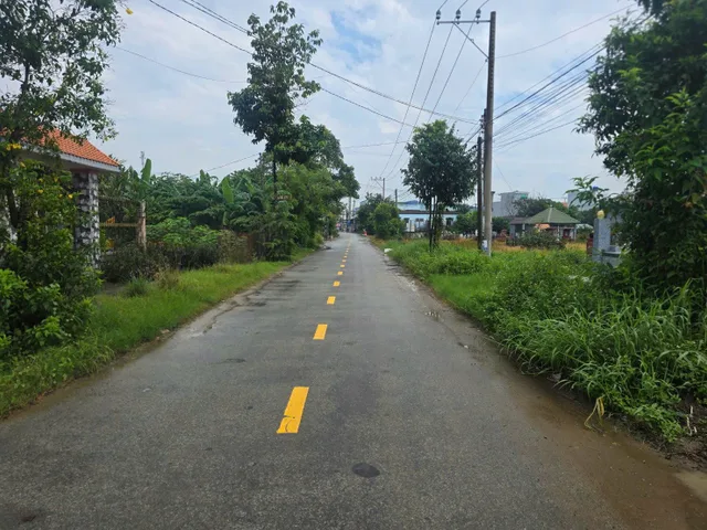 4900m2 đất lúa MT đường 1B, Thanh Phú, Bến Lức, đối diện Eco Retreat, giá 11 tỷ TLCC