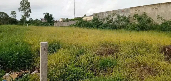 ĐẤT ĐẸP - GIÁ TỐT - CHÍNH CHỦ BÁN SIÊU PHẨM ĐẤT TẠI Liên Đầm, Di Linh, Lâm Đồng