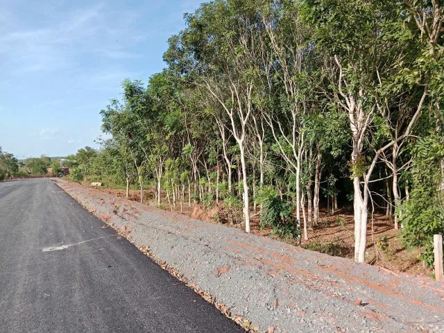 Bán 2.2ha đất có nhà. Mt nhựa đang trồng tiêu. Gần Trường học