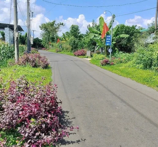BÁN GẤP 3.000M2 GIÁ 195 TRIỆU, ĐẤT MT GẦN CHỢ, SỔ HỒNG RIÊNG ☎️ 0969.950.161 ( Gặp Chủ )
