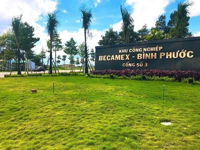 BÁN GẤP 3.000M2 GIÁ 195 TRIỆU, ĐẤT MT GẦN CHỢ, SỔ HỒNG RIÊNG ☎️ 0969.950.161 ( Gặp Chủ )