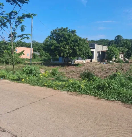 Bán GẤP 2.000M2 ĐẤT ĐẸP GỌI O969 950 161 KHU DÂN ĐÔNG GẦN TRƯỜNG CHỢ
