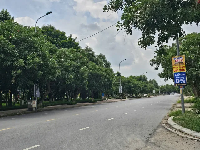 Bán Đất 77m2 giá 12.5 tỷ tại - Chọn - Phường Đại Phúc Thành phố Bắc Ninh Bắc Ninh