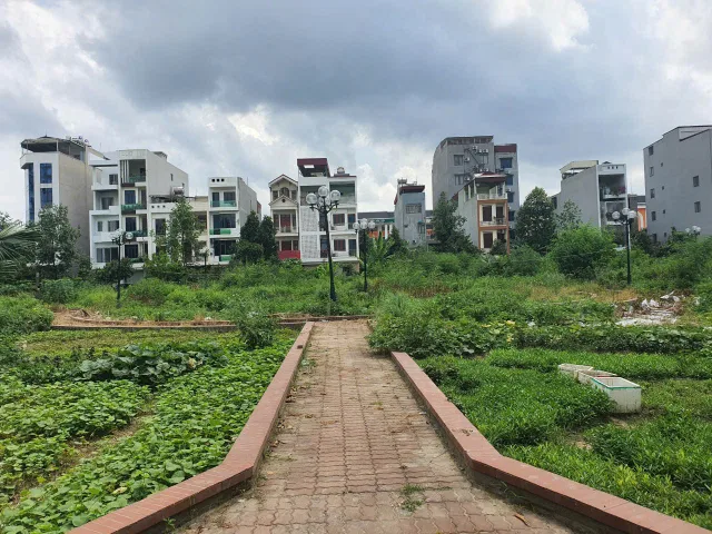 0395777369 🏢Bán Nhà 3 Tầng Mới, Bồ Sơn 3, Võ Cường Nhìn Vườn Hoa Mt 4m Dt 72m2 Giá 11.8 Tỷ