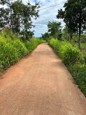 Bán Đất 6583.5m2 giá 2.5 tỷ tại Xã Tam Giang Huyện Krông Năng Đắk Lắk