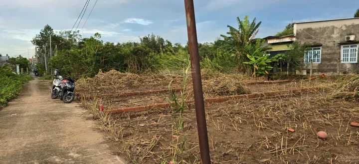🔥 BÁN ĐẤT NỀN THỔ CƯ 120M² – CHỈ 2,3 TỶ – CÁCH PHÀ CÁT LÁI 800M – TIỀM NĂNG TĂNG GIÁ CAO