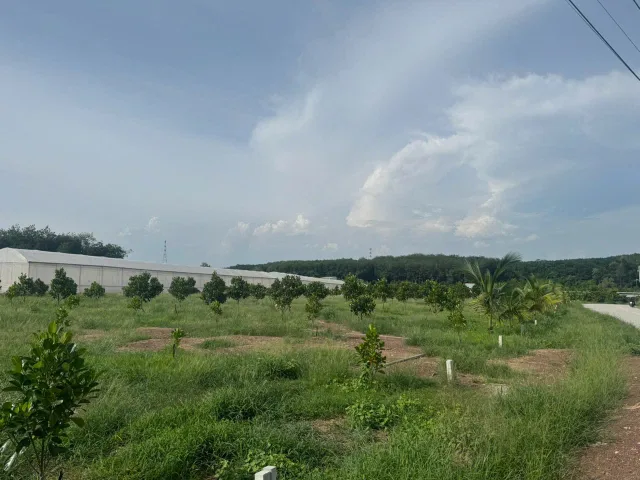 Bán Đất 4000m2 có sẵn 100 m2 thổ cư giá 400 triệu tại Xã An Linh Huyện Phú Giáo Bình Dương