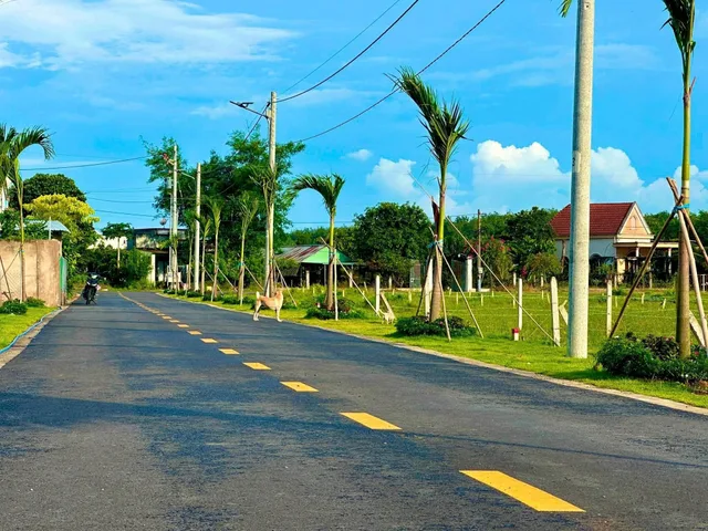 Chủ bán gửi 1 cặp liền kề diện tích lớn thích hợp cho AC nào về đây xây ở, xây trọ, và đặt biệt làm nhà vườn biệt thự vườn,...