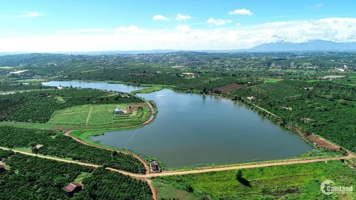 Bán Đất 200m2 có sẵn 100 m2 thổ cư giá 650.1 triệu tại - Chọn - Phường 2 Thành phố Bảo Lộc Lâm Đồng