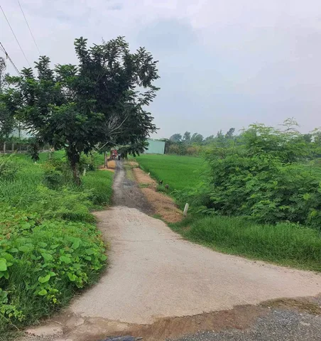 Bán Đất 138m2 có sẵn 138 m2 thổ cư giá 1.6 tỷ tại Xã Mỹ Lệ Huyện Cần Đước Long An
