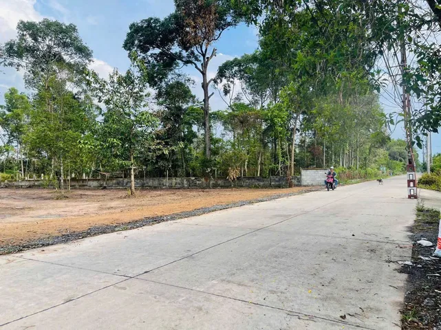 Bán đất vườn MT Đường 387, DT 10x50 (500m2) Xã Tân An Hội Huyện Củ Chi
