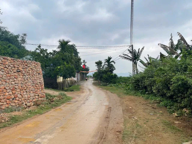 🔥 Bán 3.310m² FULL THỔ CƯ Kim Bôi – View ruộng bậc thang, chỉ 15 phút tới Sun Group