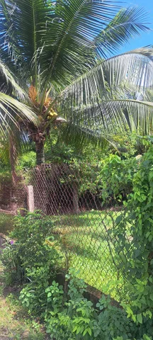 Bán Đất 500m2 có sẵn 50 m2 thổ cư giá 1.5 tỷ tại -đường Ba Sa- Xã Phước Hiệp Huyện Củ Chi TP. Hồ Chí Minh
