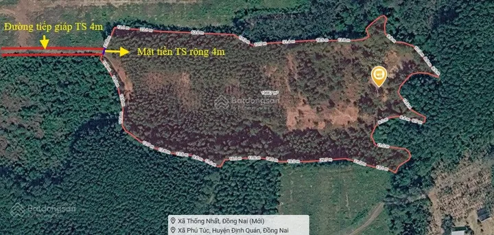 Bán đất trồng cây cao su xã Phú Túc, huyện Định Quán, tỉnh Đồng Nai. TDT 19542m2, giá 3,1 tỷ
