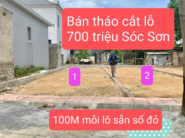 200m chia đôi giá 700 triệu mỗi lô