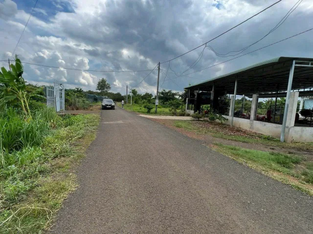 Bán Đất 300m2 có sẵn 100 m2 thổ cư giá 480 triệu tại - Chọn - Xã An Bình Huyện Phú Giáo Bình Dương