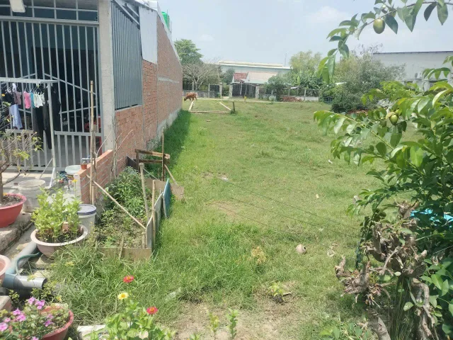 Chủ cắt lỗ, bán nhanh lô đất sổ sẵn, đường Bàu Sen, xã Hòa Khánh, 4x23 giá quá rẻ chỉ 450tr, shr