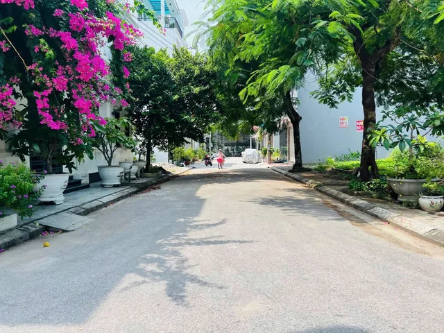 🔥 BÁN LÔ ĐẤT TĐC HỒ ĐÁ – SỞ DẦU – HỒNG BÀNG 59,5m² chỉ có 3,55 tỷ
LH 0979087664