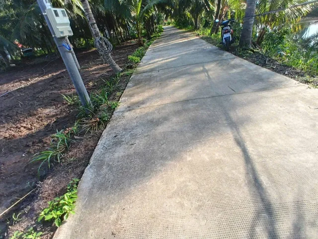 Bán Đất 504m2 giá 630 triệu tại - Chọn - Xã Quới Điền Huyện Thạnh Phú Bến Tre