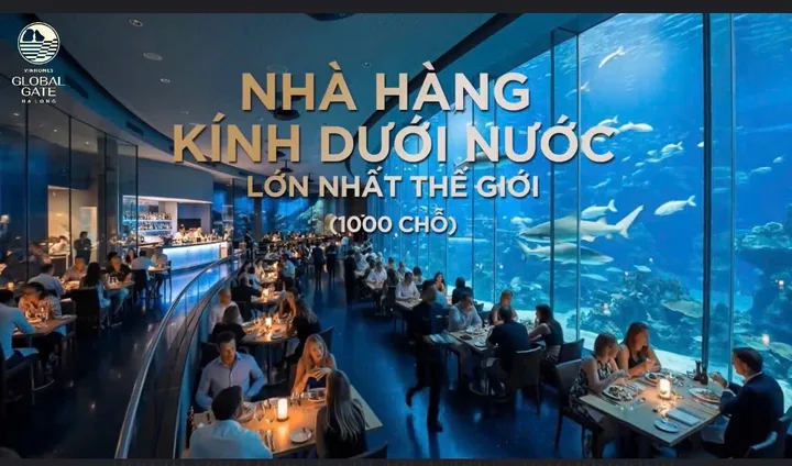 Bán Nhà riêng 60m2 có sẵn 40 m2 thổ cư giá 8.1 tỷ tại - Chọn - Phường Bãi Cháy Thành phố Hạ Long Quảng Ninh