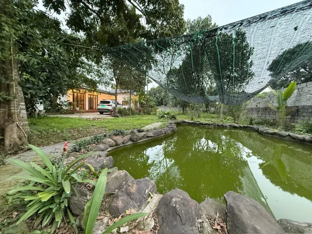 🌿 BÁN GẤP HOMESTAY NGHỈ DƯỠNG FULL NỘI THẤT – VIEW NÚI ĐÁ CỰC ĐẸP 🌿