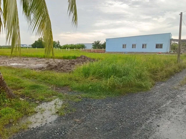 5 lô F0 diện tích mỗi lô 1030m2 (15x69) có 300m2 thổ cư/ 2.3 tỷ lô, Phước Vân, Cần Đước