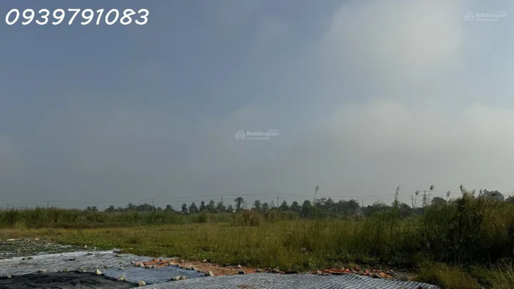 CẦN BÁN 2,14 HA ĐẤT TẠI CỤM CÔNG NGHIỆP MỸ HIỆP, ĐỒNG THÁP (CAO LÃNH - ĐỒNG THÁP CŨ)