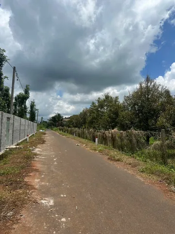 Bán Đất 3773m2 giá 5.3 tỷ tại -xã quảng thành củ  Chọn - Xã Bình Giã TP. Hồ Chí Minh