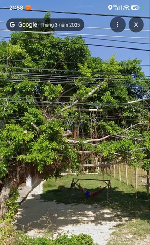 🔥 BÁN ĐẤT THÔN TÂN DÂN 279m² – VẠN THẮNG, VẠN NINH | CHỈ 16,5 TRIỆU/M² 🔥