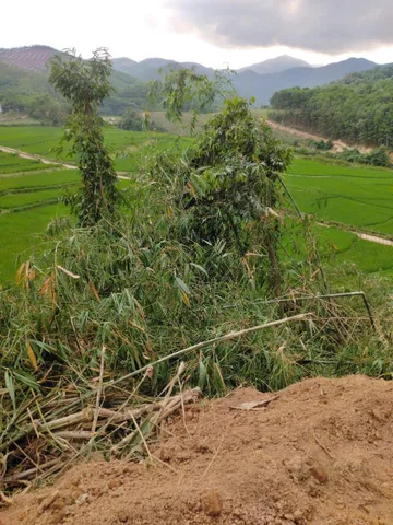 📢 CHÍNH CHỦ BÁN ĐẤT NGHỈ DƯỠNG VIEW CÁNH ĐỒNG BÁT NGÁT – CUỐI HẠ, KIM BÔI, HÒA BÌNH 🌾🌿