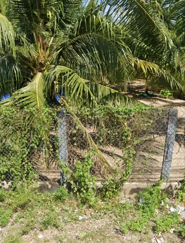 🌟 BÁN ĐẤT XUÂN TỰ 328,5m2 – VẠN HƯNG | GIÁ CHỈ 23,5 TRIỆU/M2 🌟