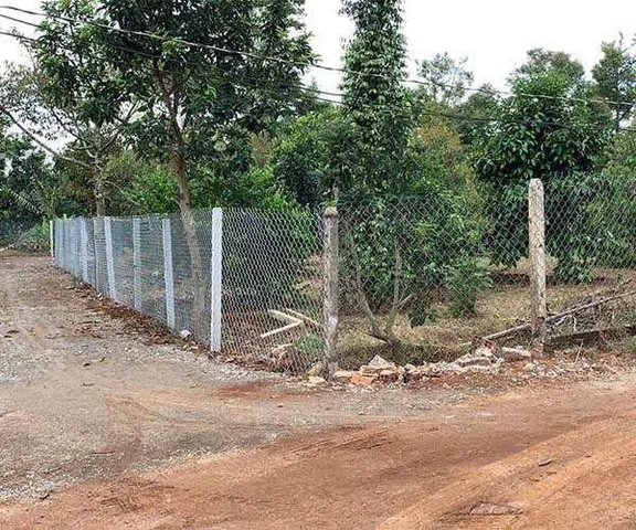 Bán gấp vườn nhà 1700m2 /485tr mt bám đường 15m sổ sẵn