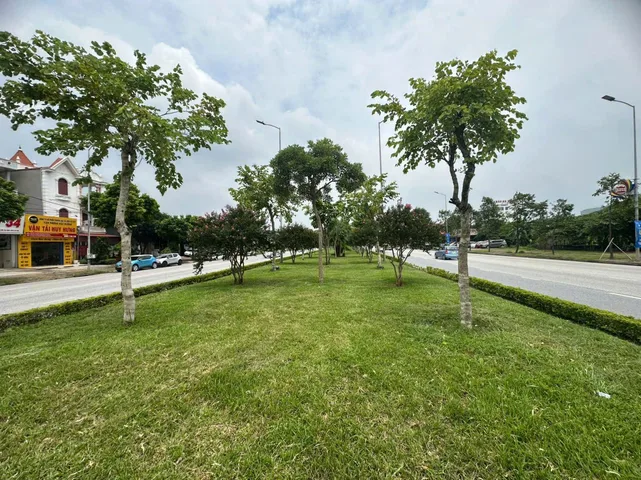Bán Đất 666m2 có sẵn 666 m2 thổ cư giá 36.63 tỷ tại Đường Quốc lộ 37 Phường Tứ Minh Thành phố Hải Dương Hải Dương